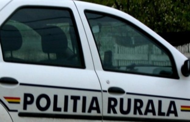 Surprinşi în timp ce furau gardul unei ferme, la Plopeni